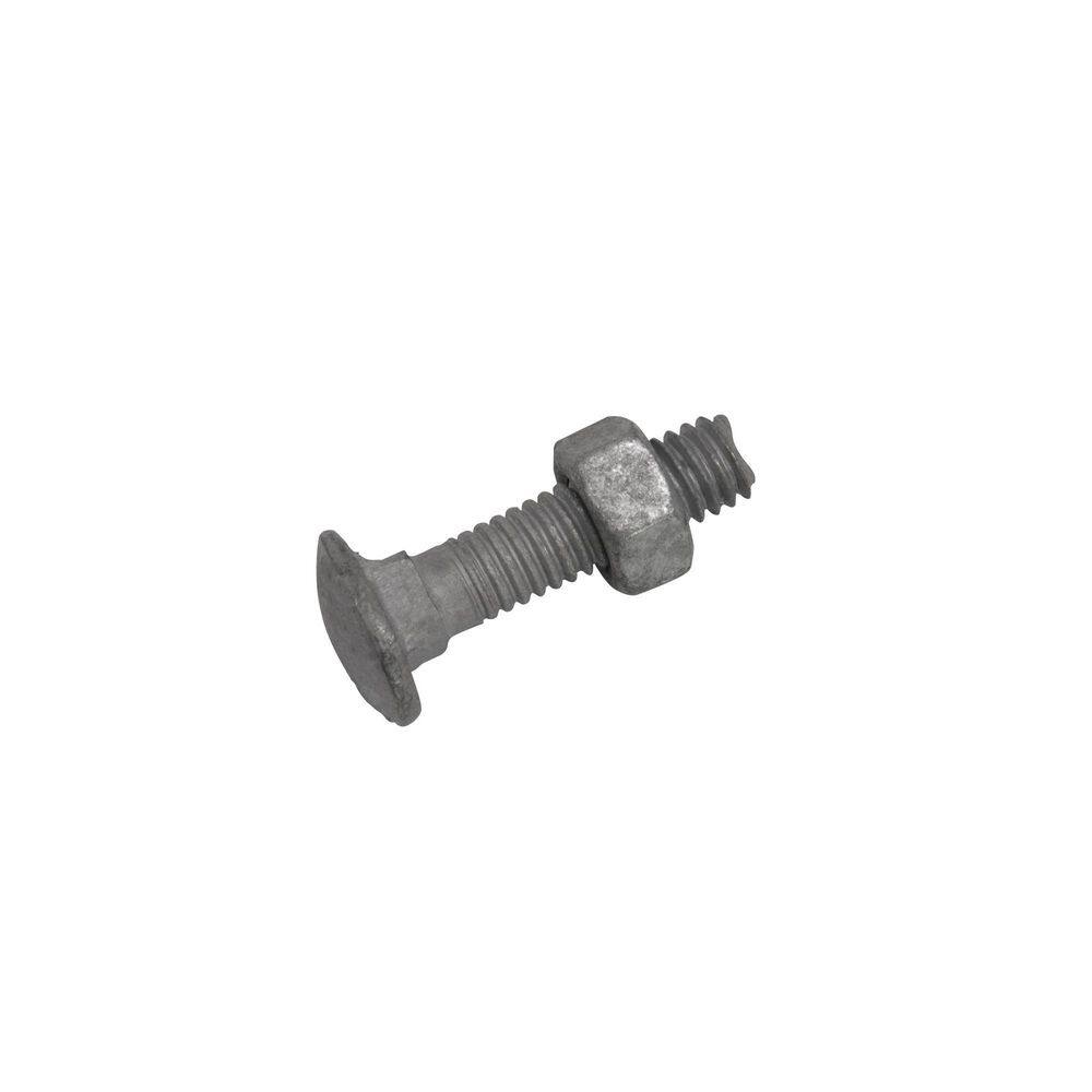 Everbilt 516 in. x 1-14 in. Galvanized Steel Carriage Bolt (20-Pack) 328502EB