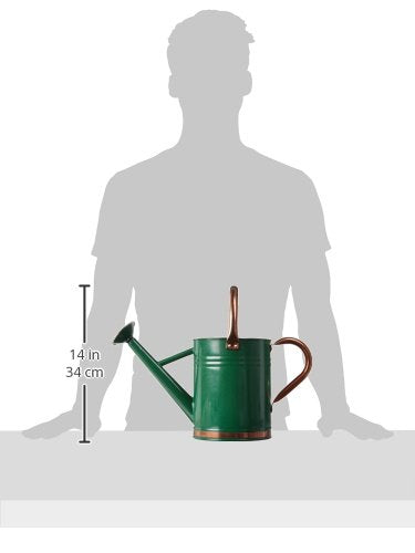 Gardman 1 GALLON HUNTER GREEN WATERING CAN WITH COPPER ACCENTS