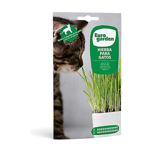 Cat grass seeds 15 g