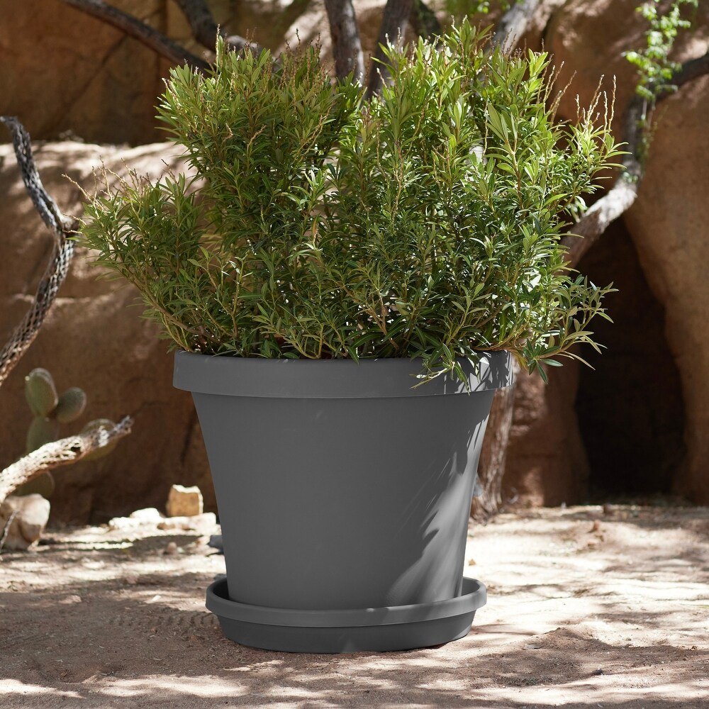 Bloem Terra Pot Planter 24\