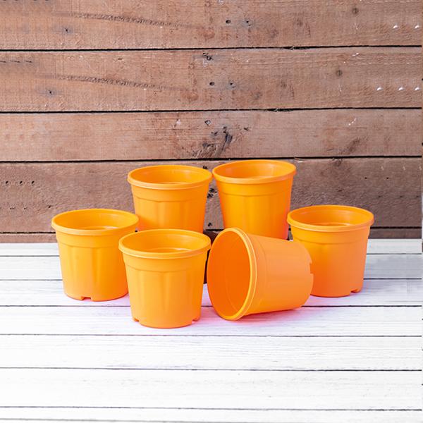 4 inch (10 cm) Grower Round Plastic Pot