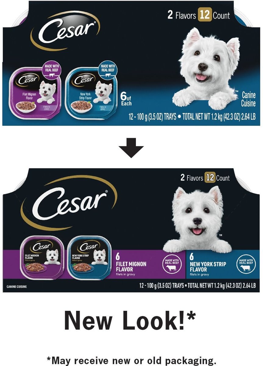 Cesar Filets in Gravy Beef Multipack Dog Food Trays