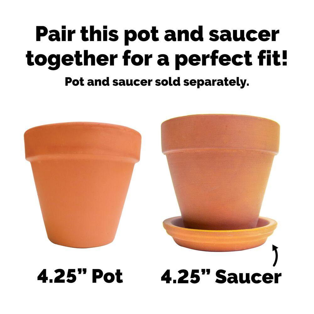 Pennington 4.25 in. Small Terra Cotta Clay Pot 100043011