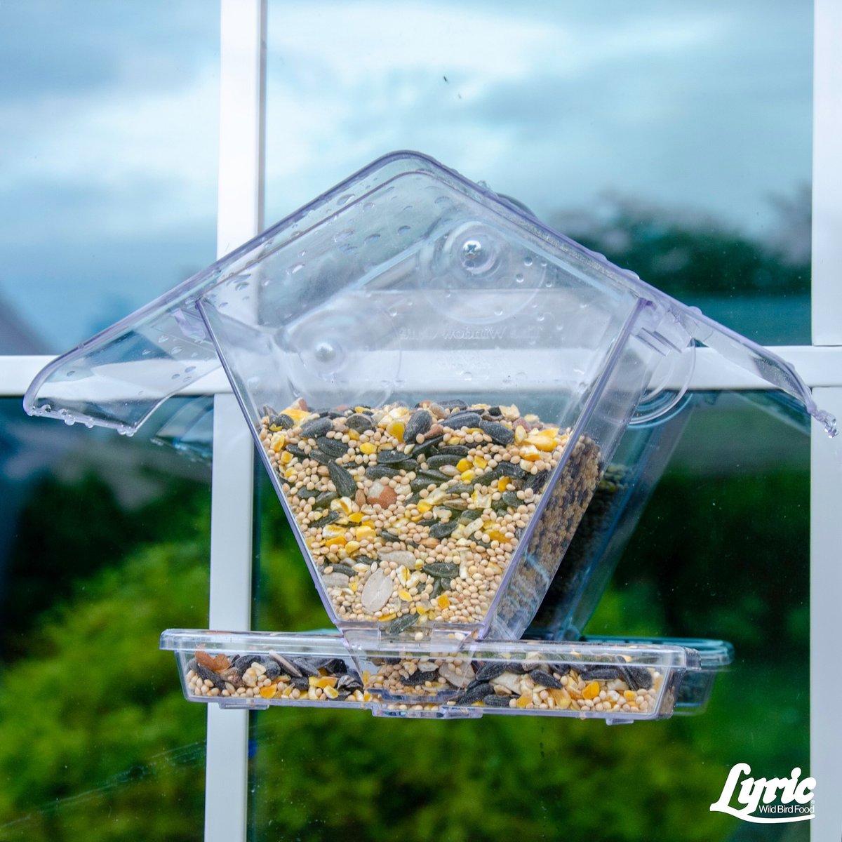 Lyric Supreme Wild Bird Food