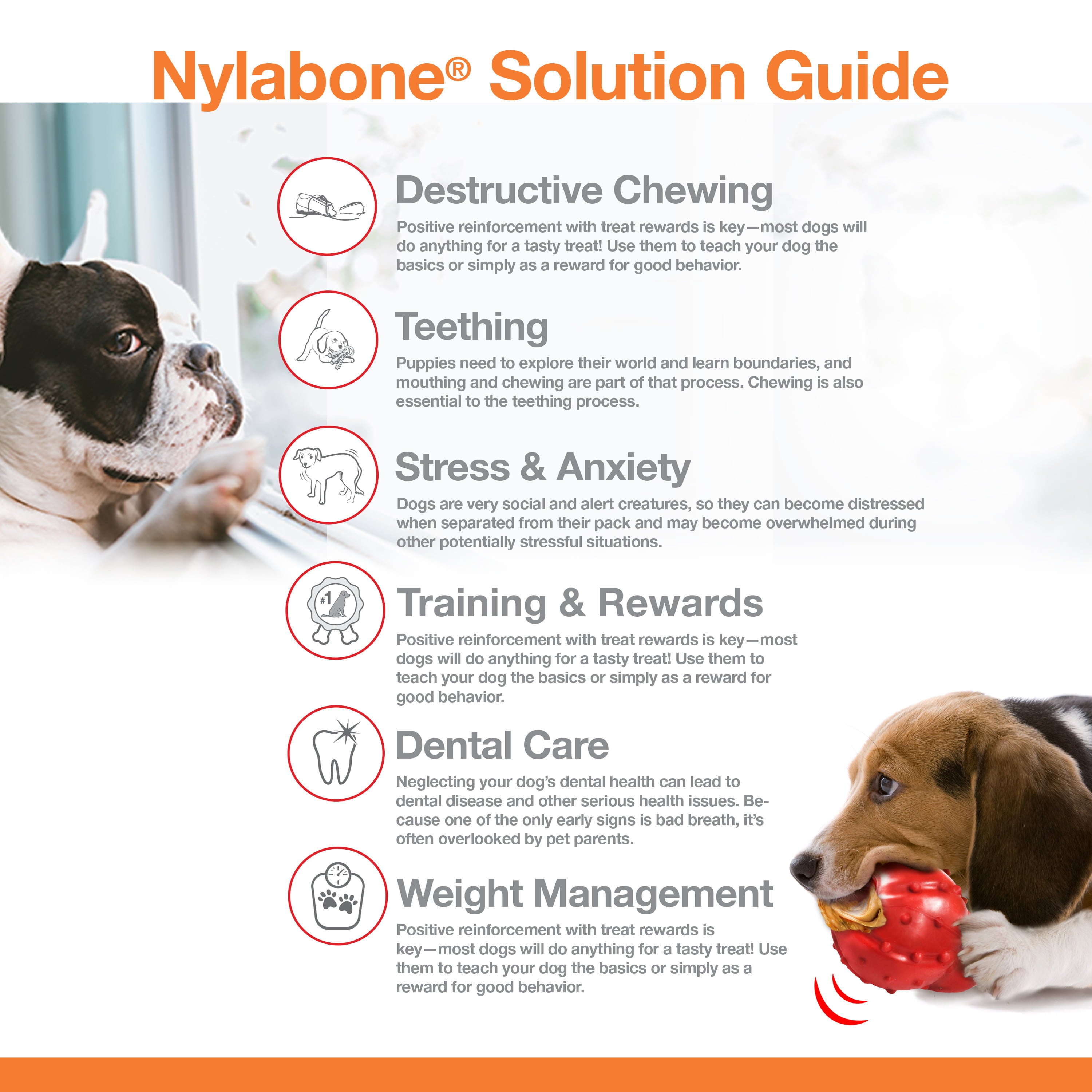 Nylabone Wishbone Power Chew Dog Toy Adult Dog Original Original Medium/Wolf (1 Count)