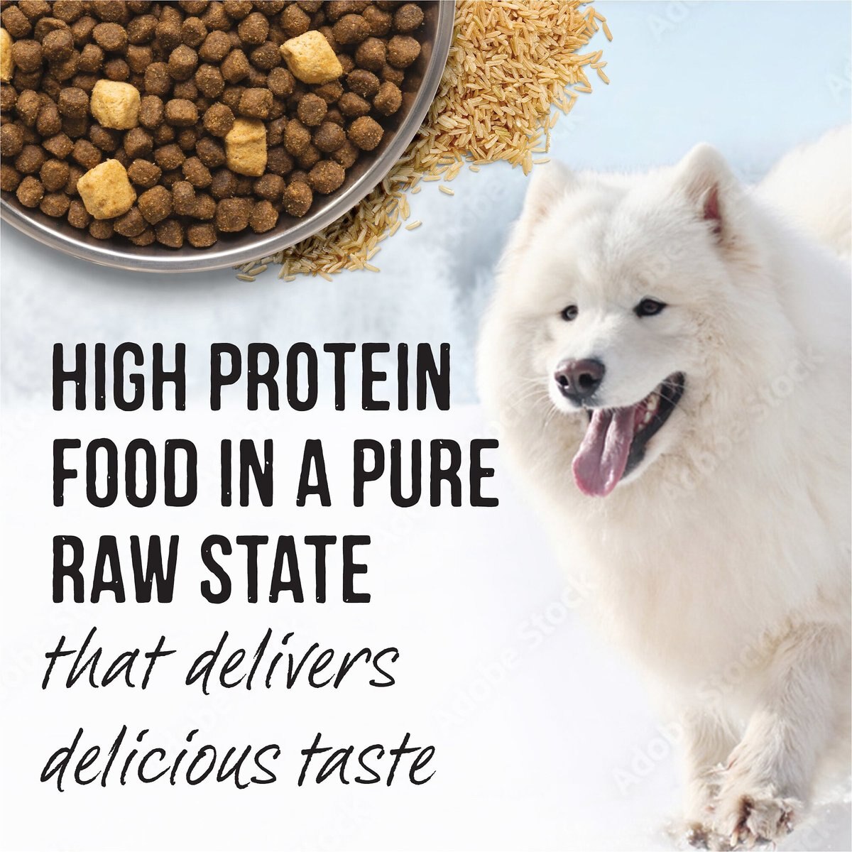 Merrick Backcountry Raw Infused Puppy Recipe + Grains with Chicken and Salmon Freeze-Dried Dry Dog Food