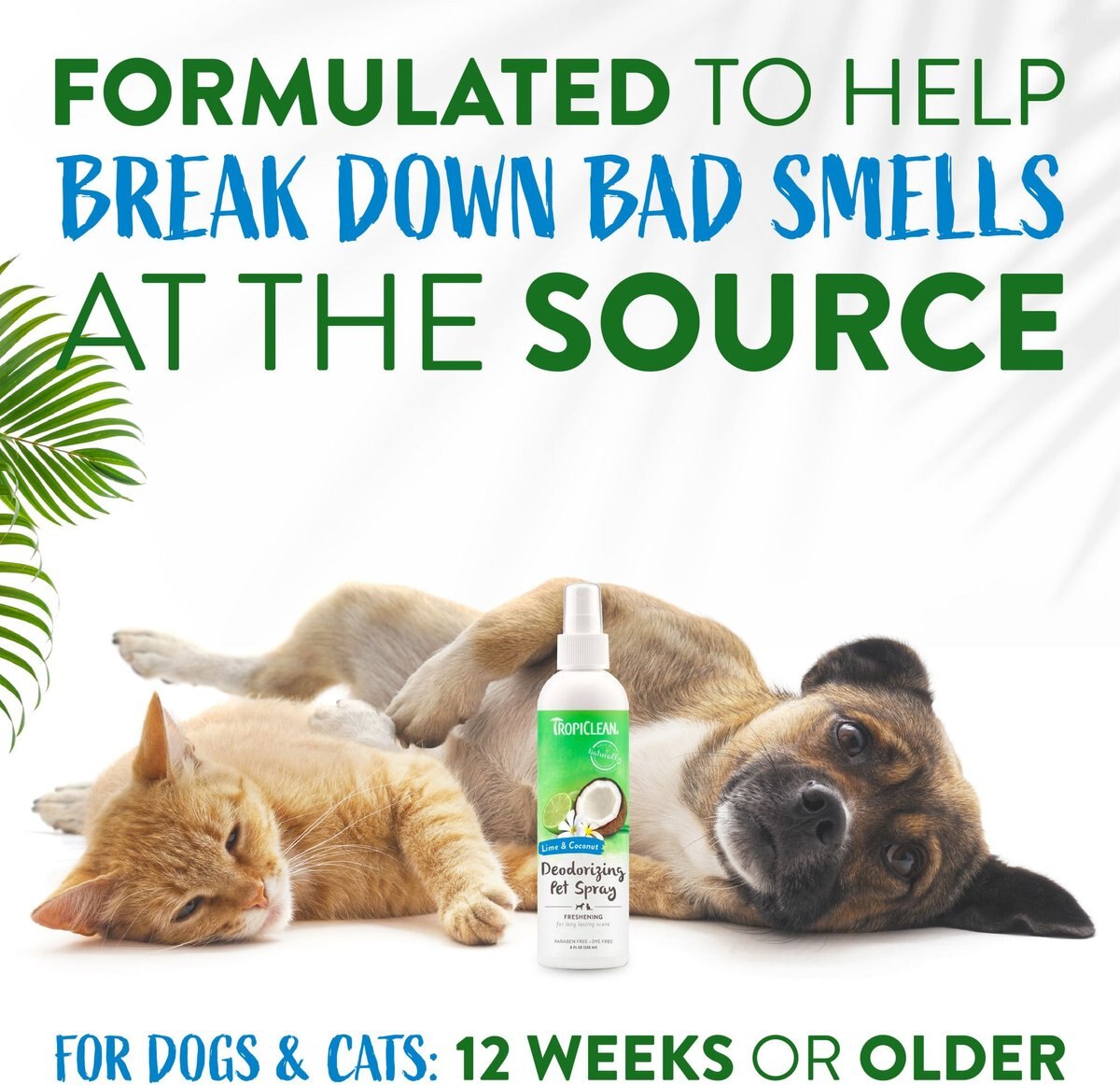 TropiClean Lime and Coconut Deodorizing Dog and Cat Spray