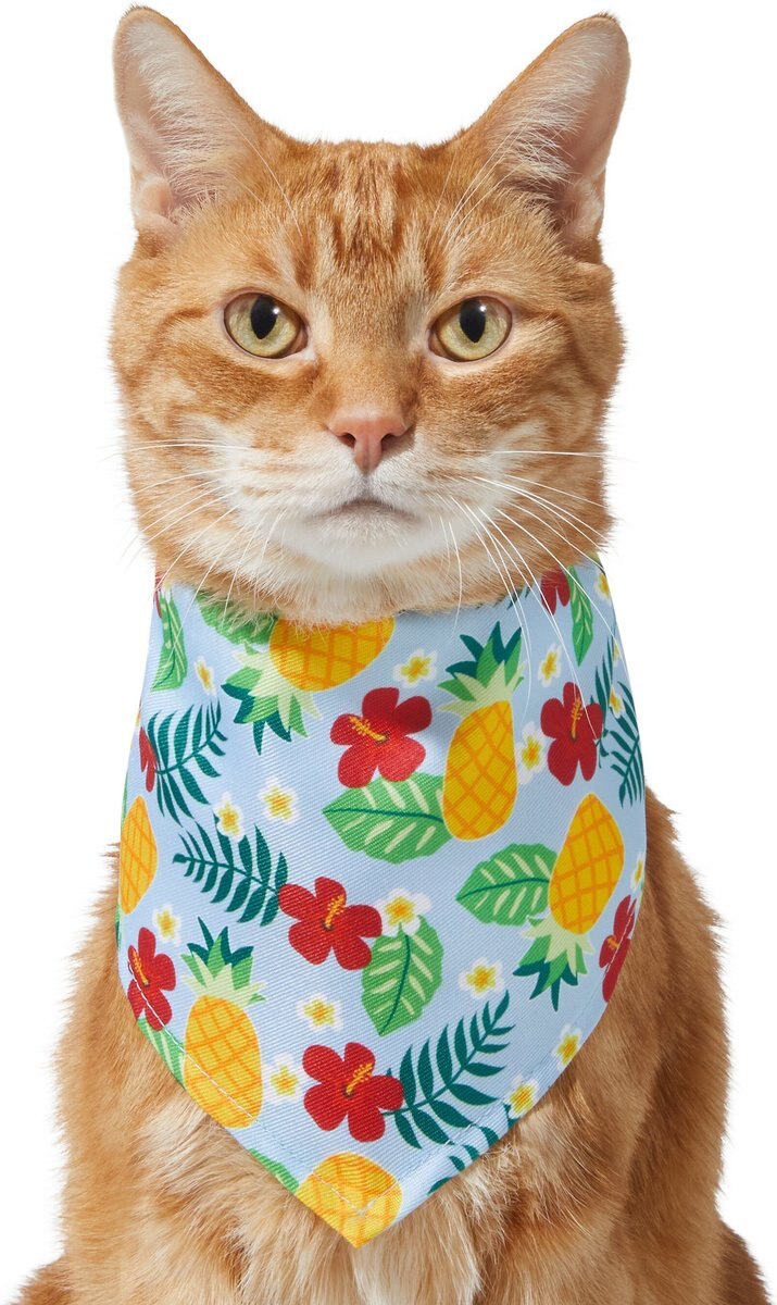 Frisco Hawaiian Pineapple Dog and Cat Bandana