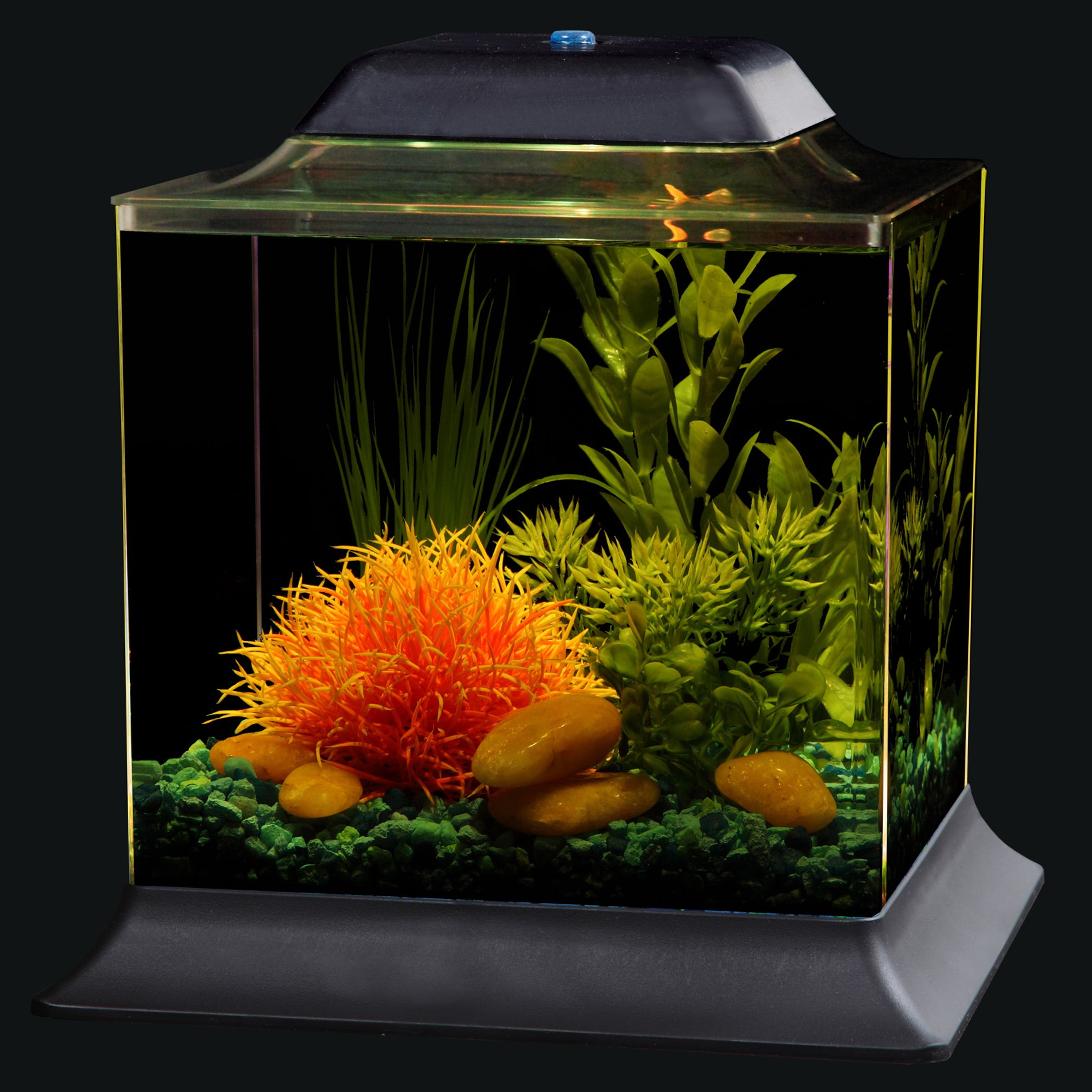 KollerCraft 1.5-Gallon Betta Fish Aquarium Kit