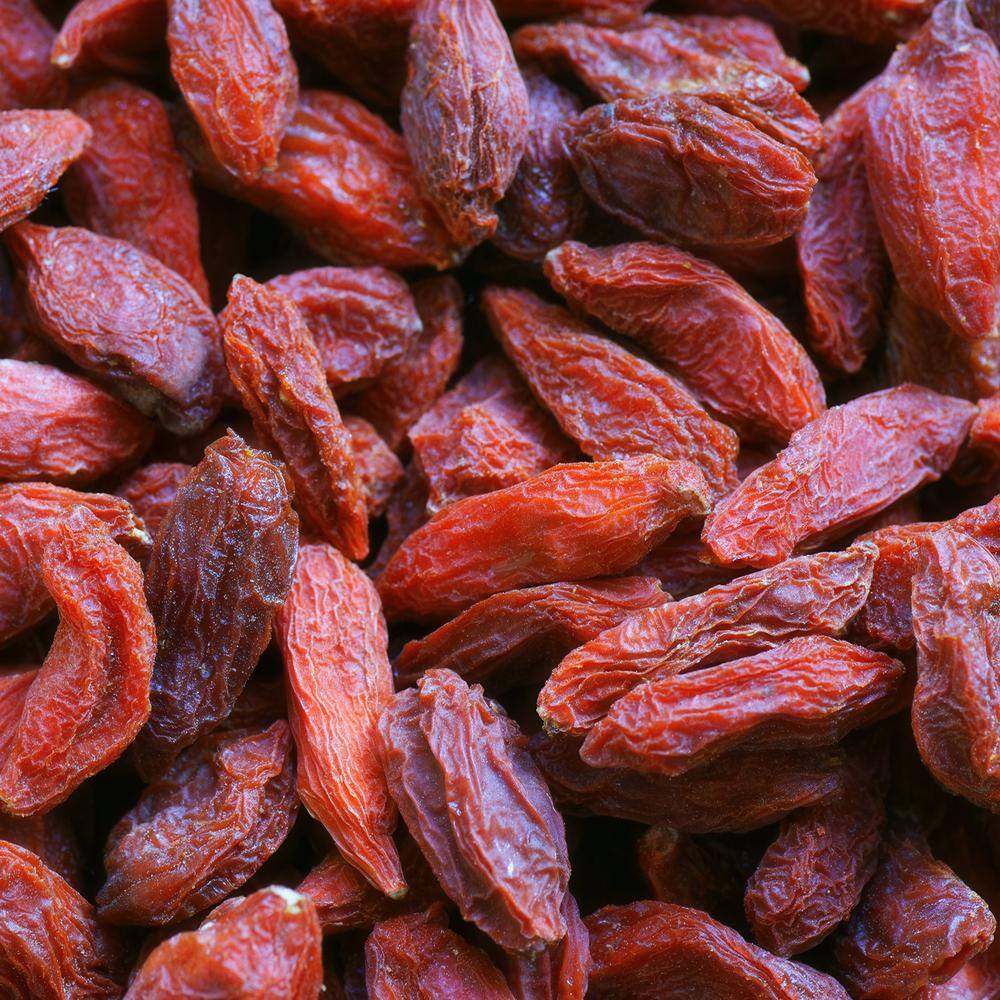 national PLANT NETWORK 3 gal. Goji Berry HD1842