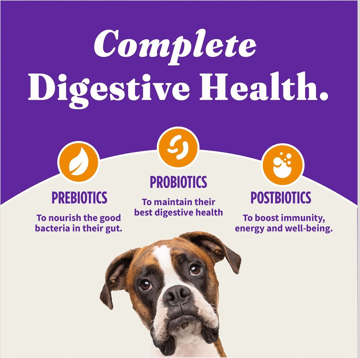 Halo Holistic Complete Digestive Health Grain-Free Chicken and Sweet Potato Recipe Senior Dry Dog Food