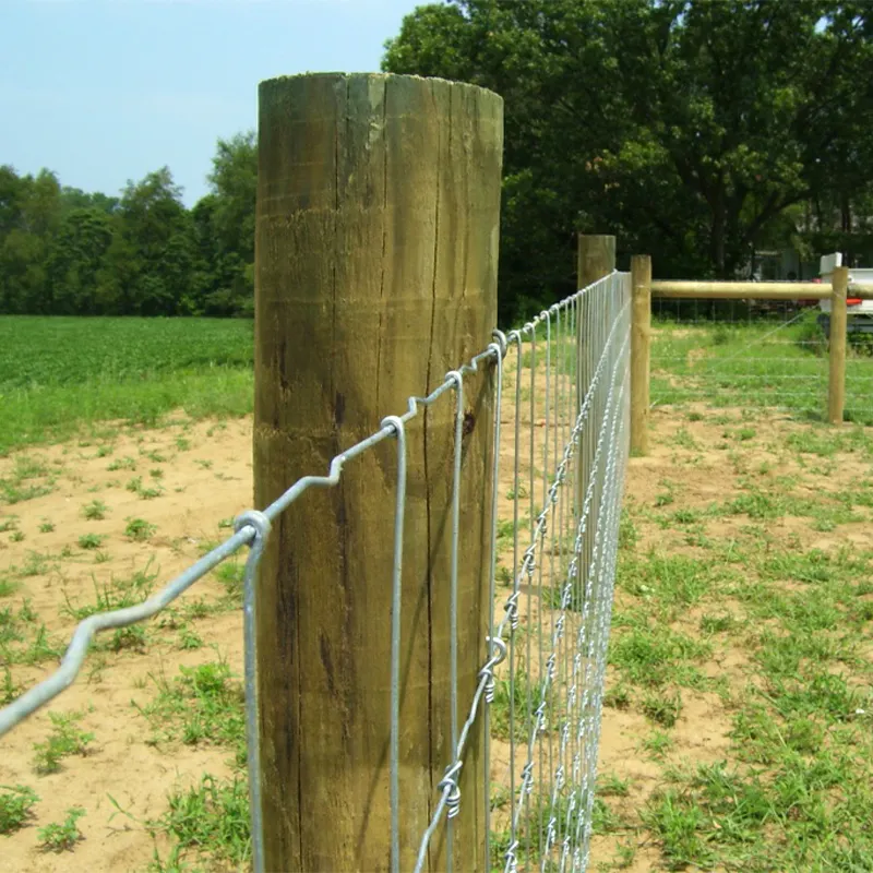 Factory Supply  Deer Stay Gate Hot Dip Galvanized Fixed Knot Woven Wire Field Fence