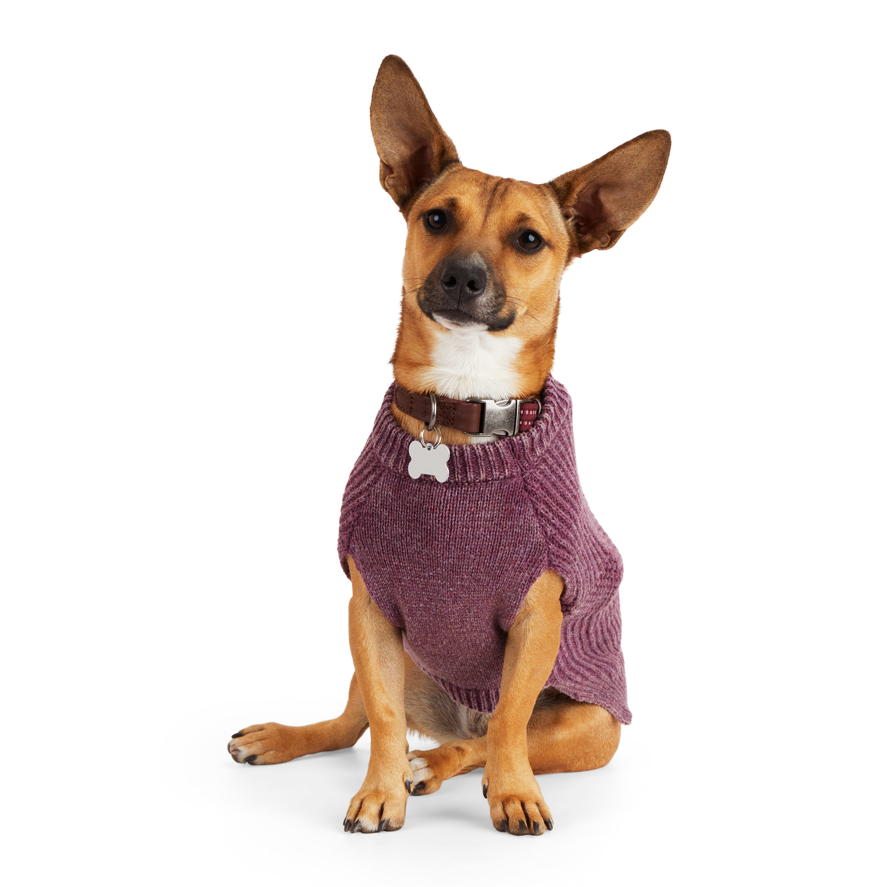 REDDY Magenta Snow Dog Sweater， Medium