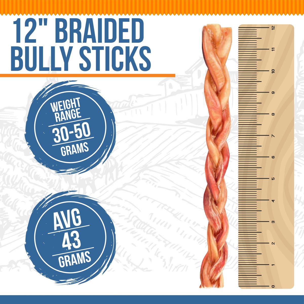 K9warehouse Braided 12-inch Bully Sticks Dog Treats