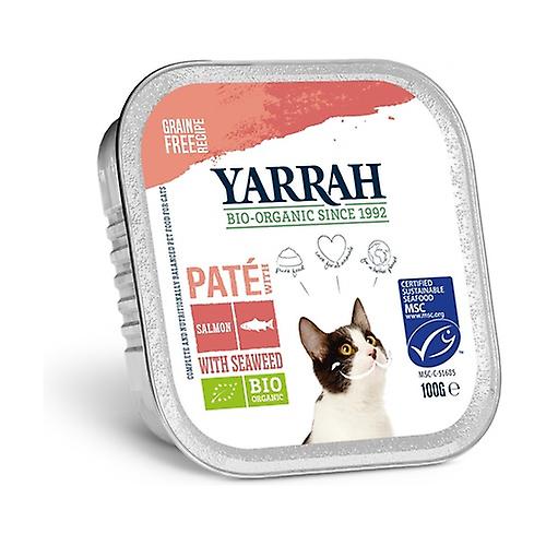 Organic salmon pate for cats 100 g