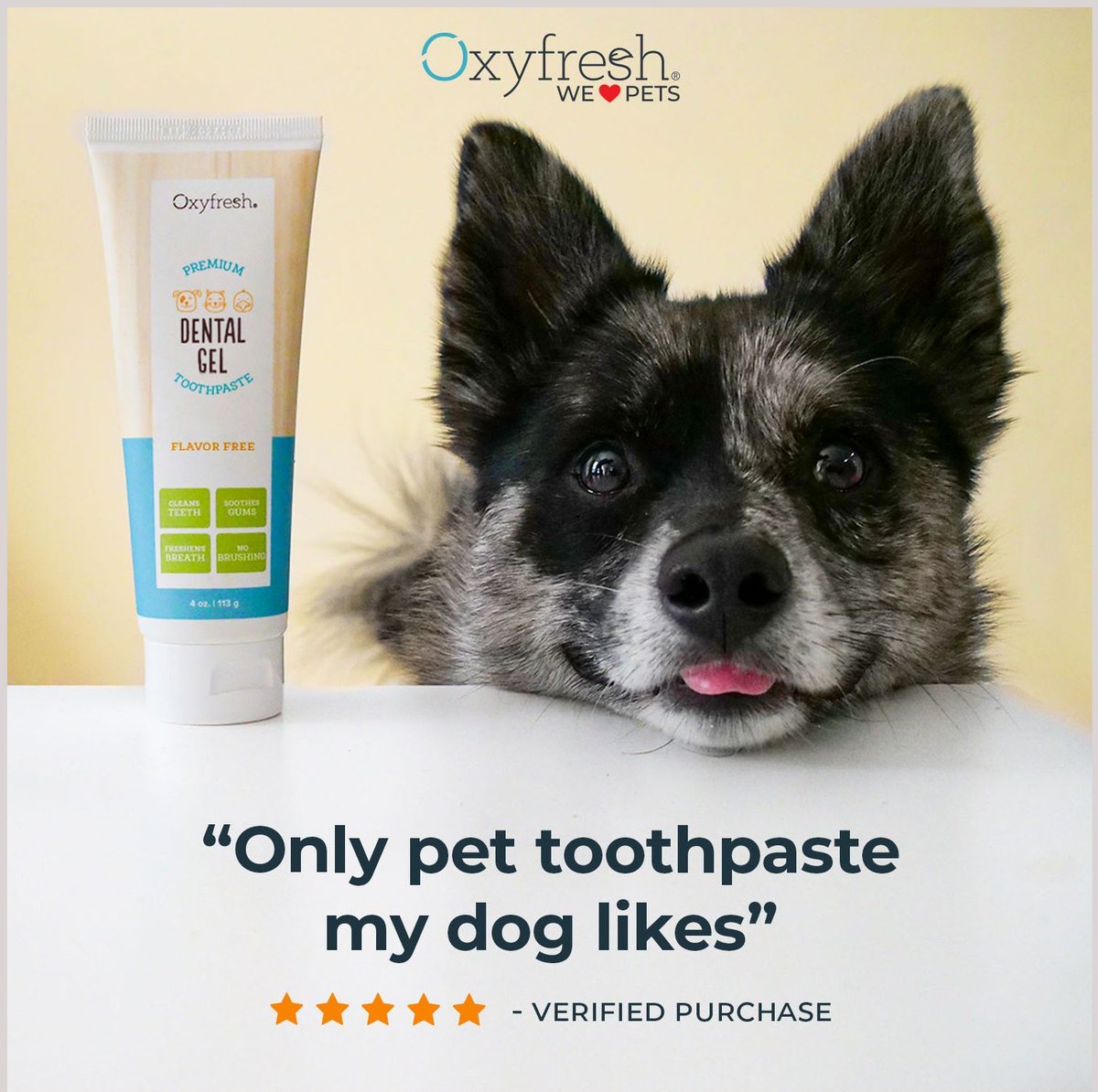 Oxyfresh Premium Vet Formulated Plaque and Tartar Cat and Dog Toothpaste， 4-oz bottle