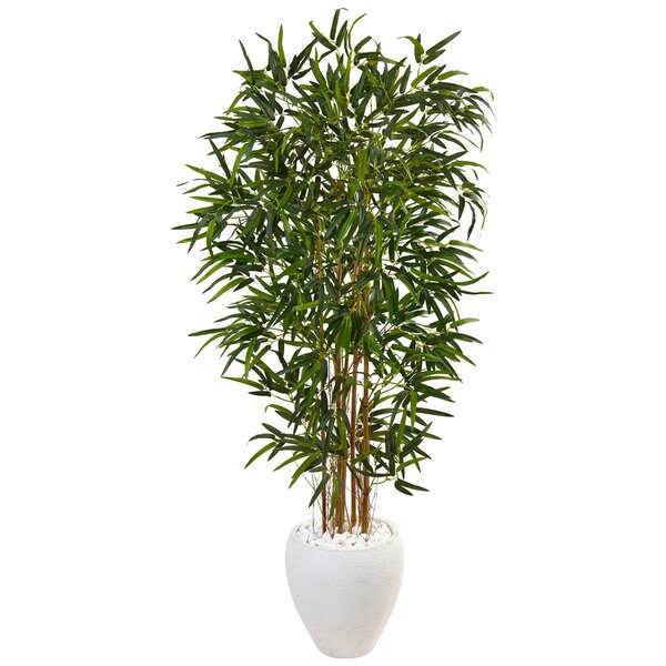 5foot Bamboo Tree in Oval White Planter