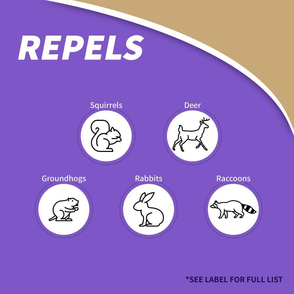 Bonide Repels-All Animal Repellent 3 lbs. Granules Squirrels Deer Rabbit Groundhog Raccoon Repellent Deter Pests 2361