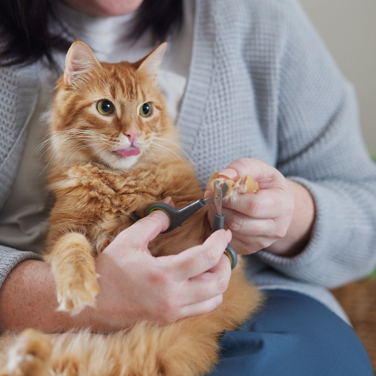 Frisco Dog and Cat Nail Clippers