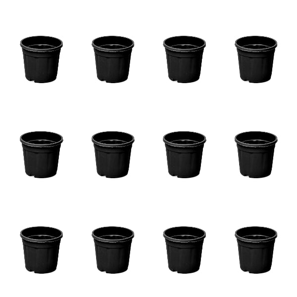 4 inch (10 cm) Grower Round Plastic Pot