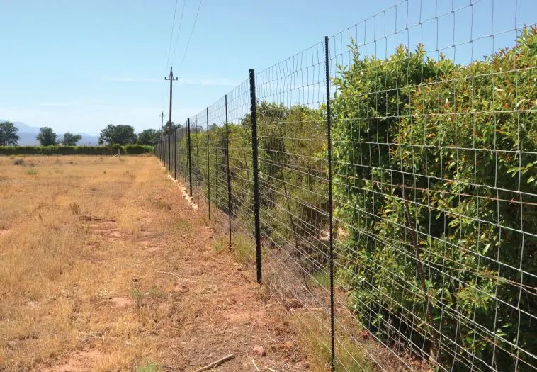 China supply best price farm fence