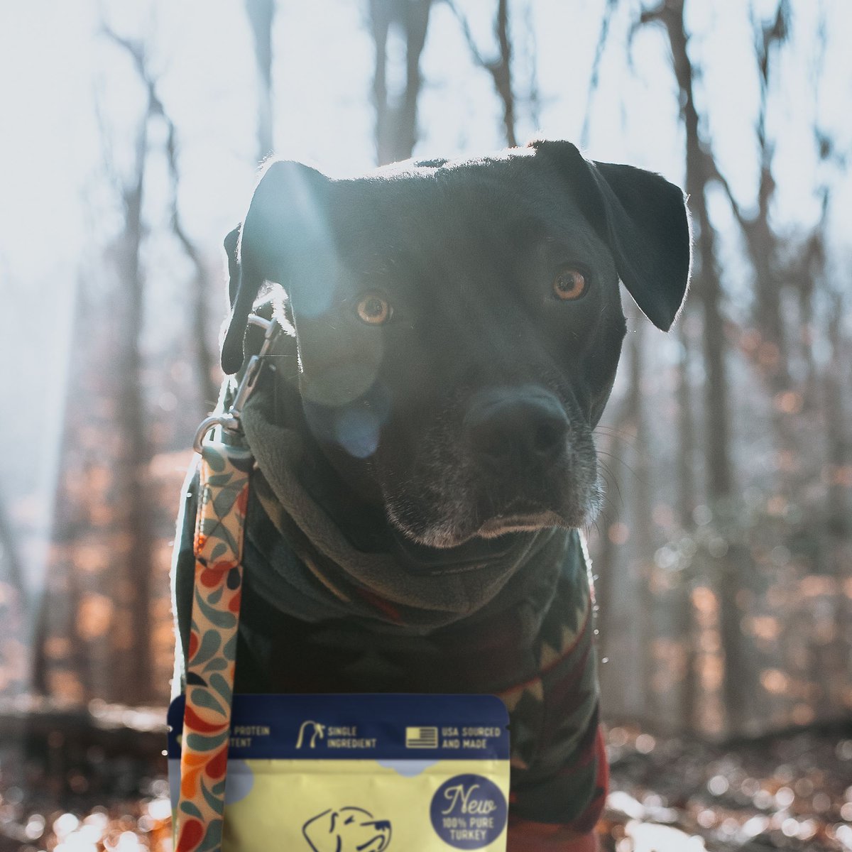 Beg and Barker Double Turkey Chips Dog Jerky Treats