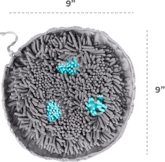 Pet Parents Forager Snuffle Mat and Slow Feeder Dog Bowl