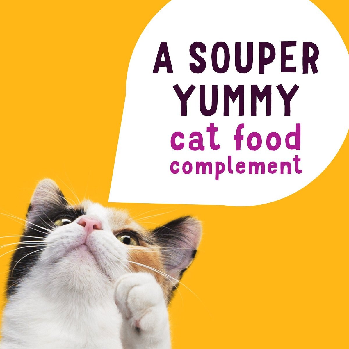 Friskies Lil' Soups with Shrimp in a Velvety Chicken Broth Cat Food Topper