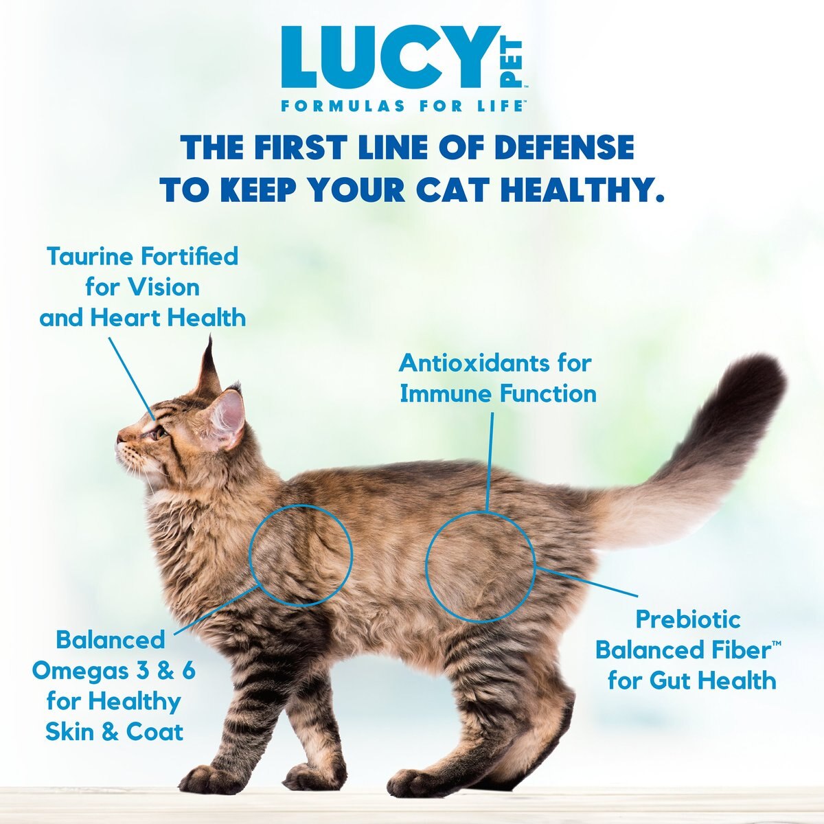 Lucy Pet Products Chicken， Brown Rice and Pumpkin Limited Ingredient Diet Cat Food