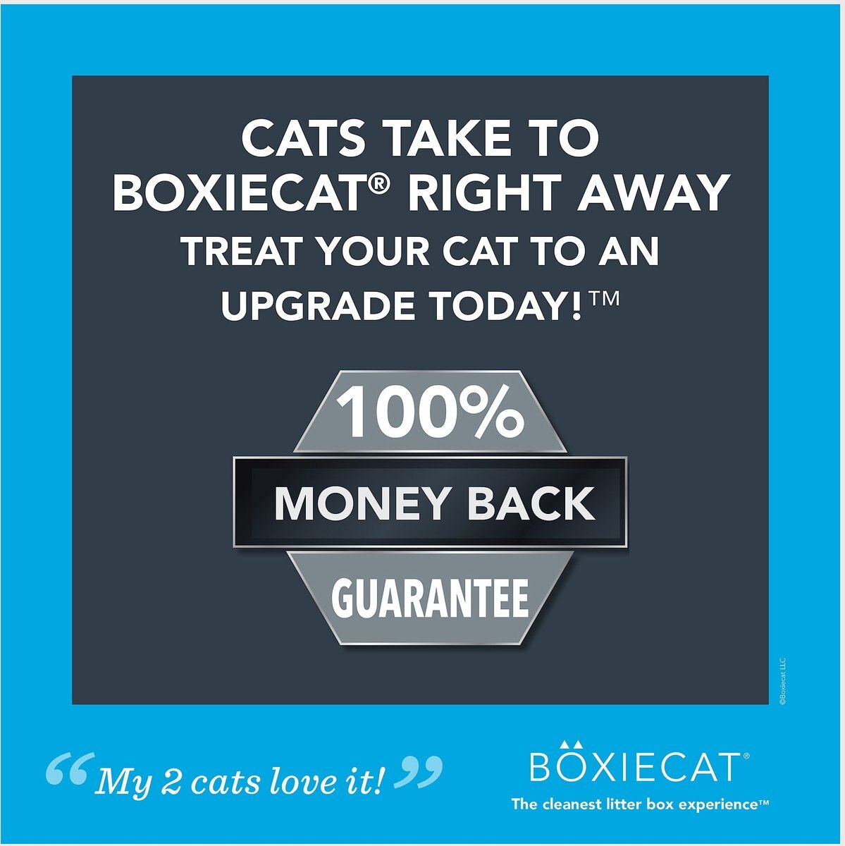 Boxiecat Premium Unscented Clumping Clay Cat Litter