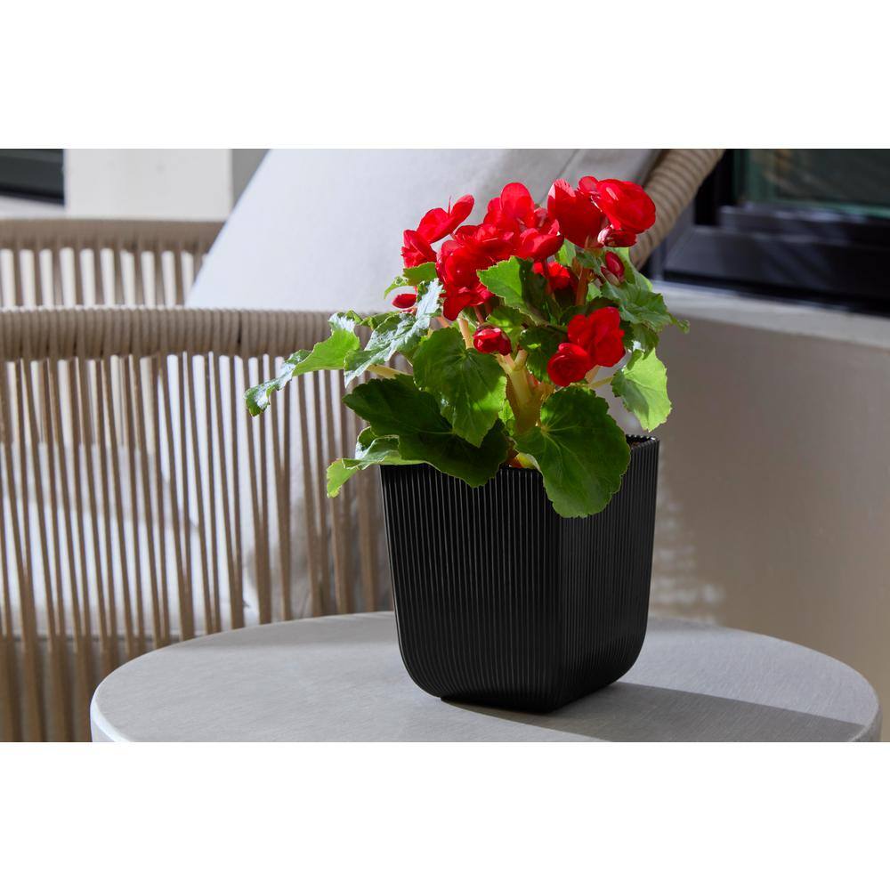 Vigoro 4 in. Albany Small Black Plastic Planter (4 in. D x 4.7 in. H) HUPS00646N-04H2