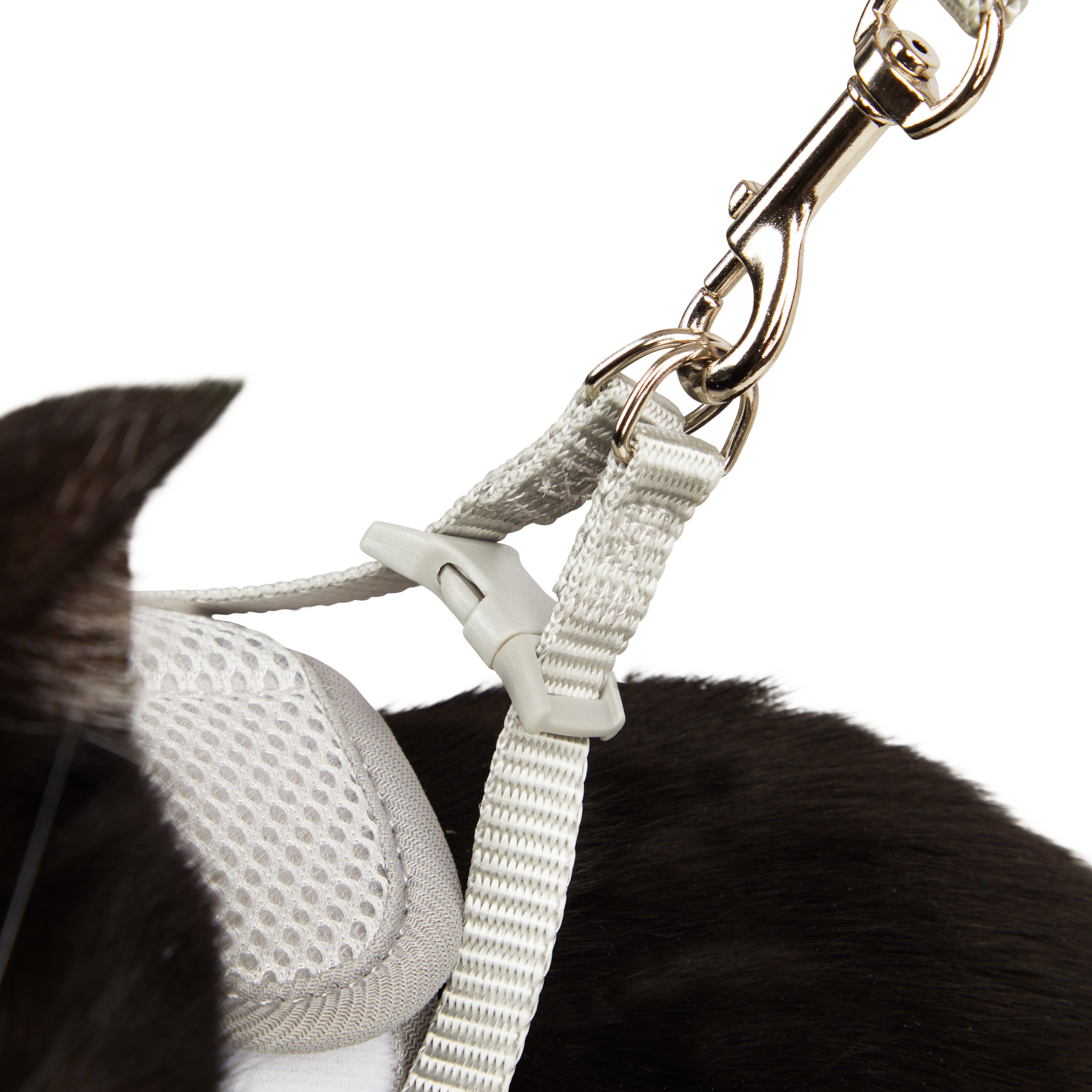 Youly Grey Mesh Safety Cat Harness