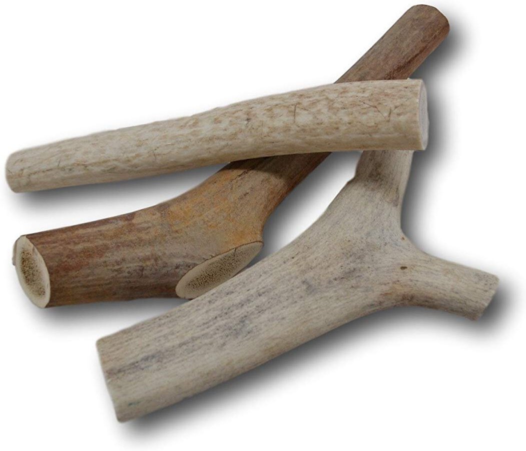 Top Dog Chews Deer and Elk Medium Antler Dog Treat