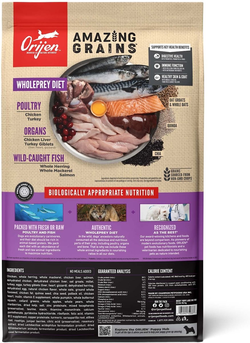 ORIJEN Amazing Grains Puppy Large Breed Dry Dog Food， 22.5-lb bag