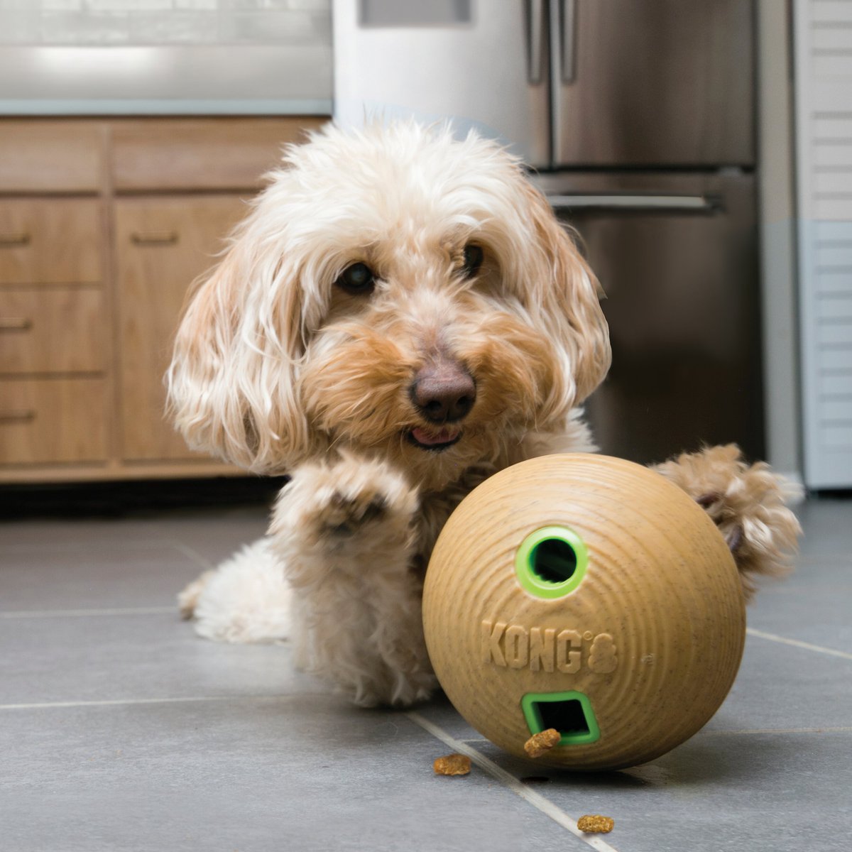 KONG Bamboo Feeder Ball Dog Toy