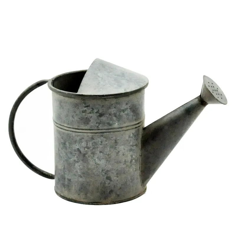 Nice Design Handmade Outdoor Decoration Metal Watering Can Custom Design Indoor Decoration Iron Watering Can