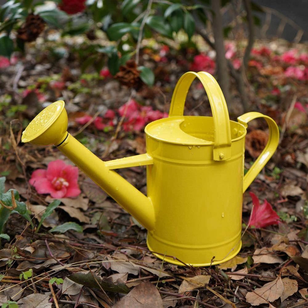 Cubilan 55 oz. Yellow Metal Watering Can with Handle and Rose Tip Contemporary B07M7MJBNY