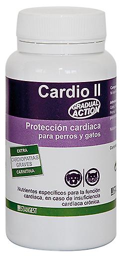 Stangest Cardio II Carnitine 60 tablets