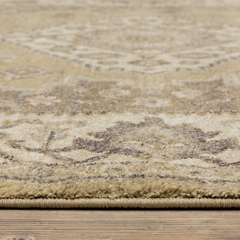 StyleHaven Franklin Border Medallions Area Rug