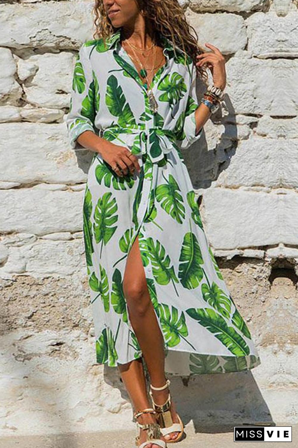 Printed Long Sleeve 4 Colors Midi Dress