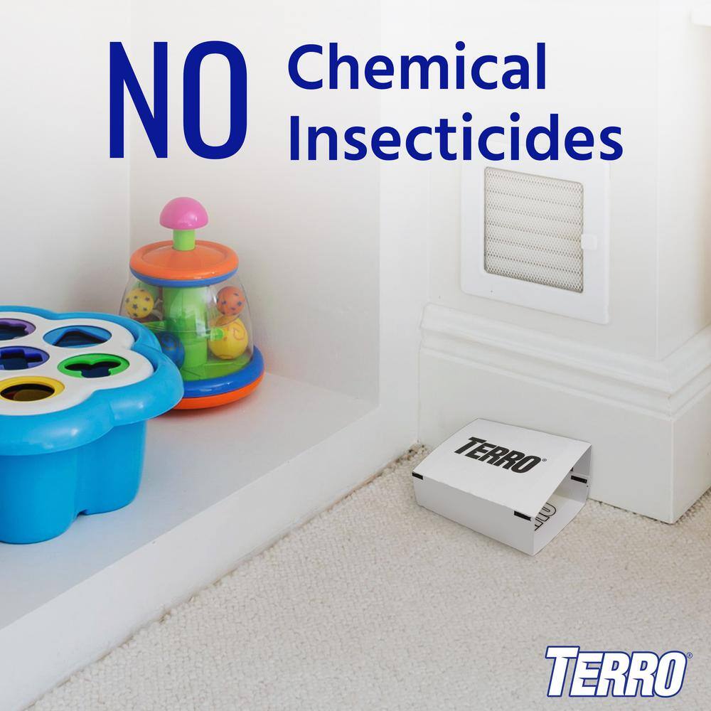 TERRO Non-Toxic Spider and Insect Trap (4-Count) T3206