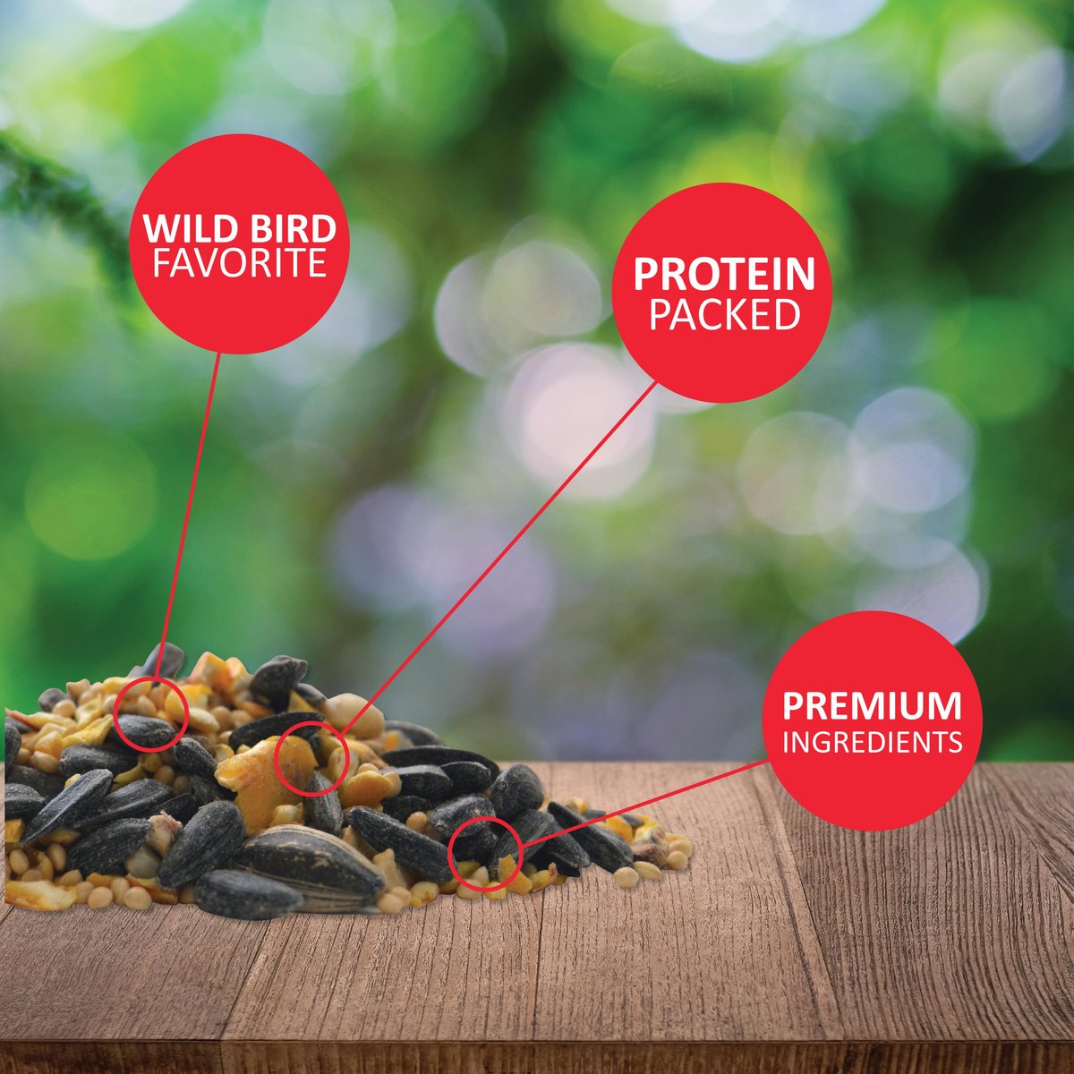 Lyric Wild Bird Food