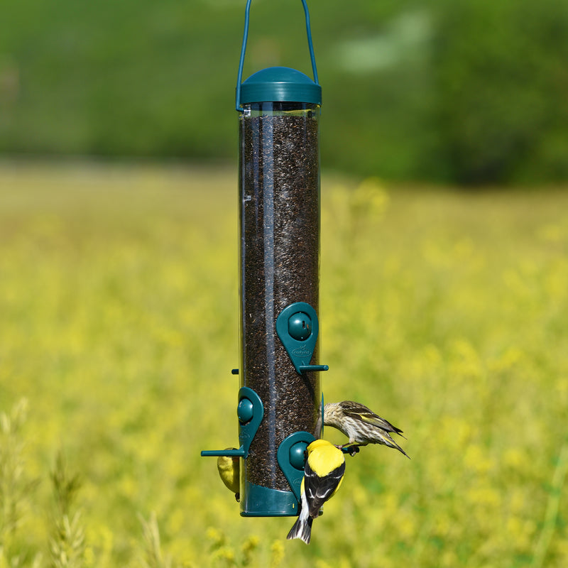 BIRDFEEDER SIERRA 2IN1