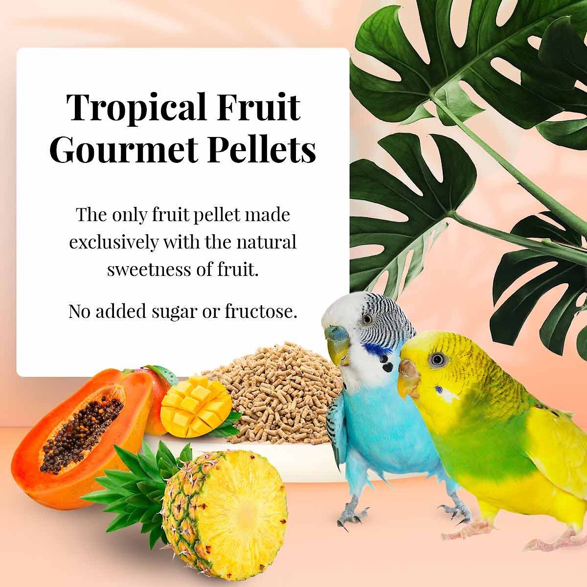 Lafeber Tropical Fruit Gourmet Pellets Parakeet Bird Food