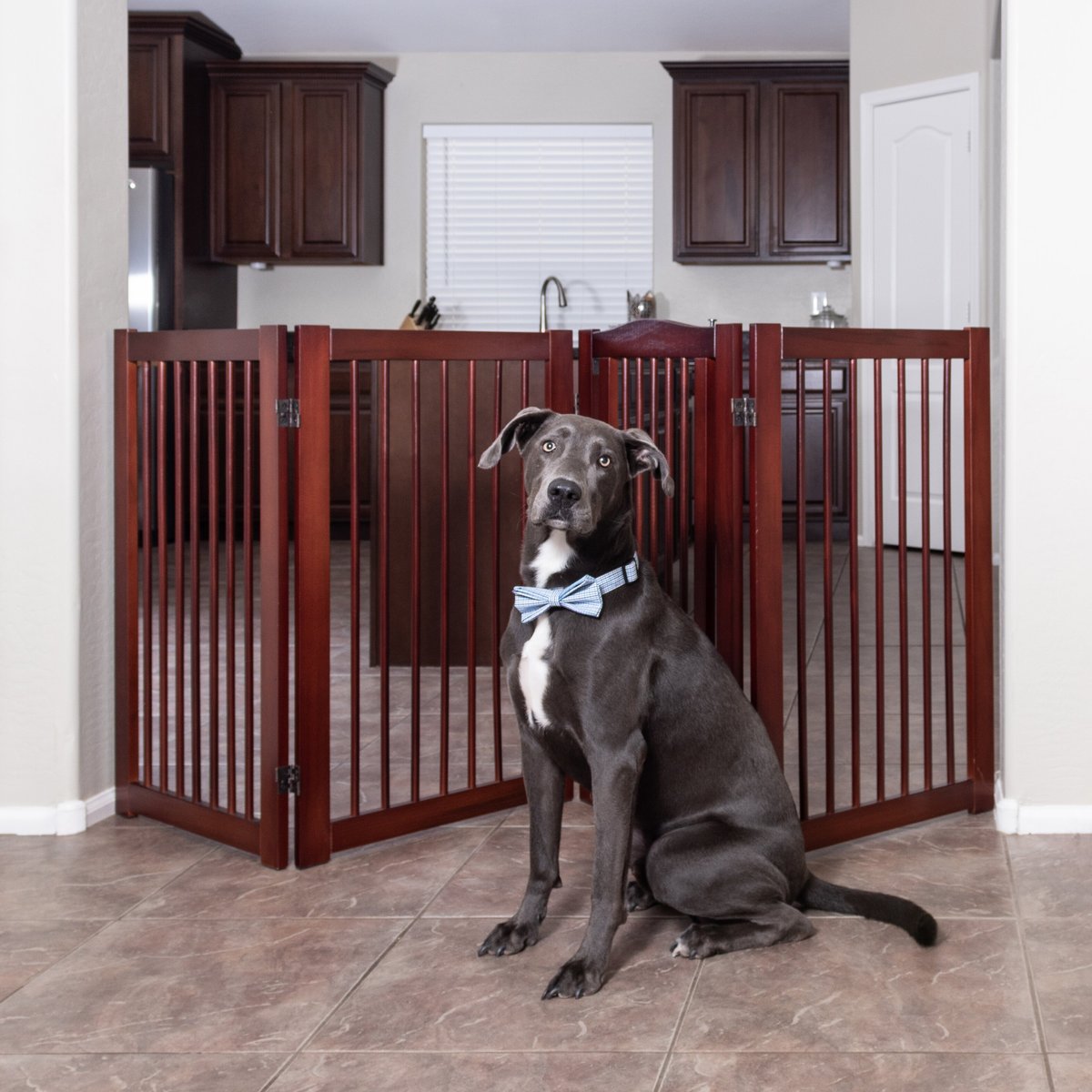 Primetime Petz 360 Configurable Gate with Door