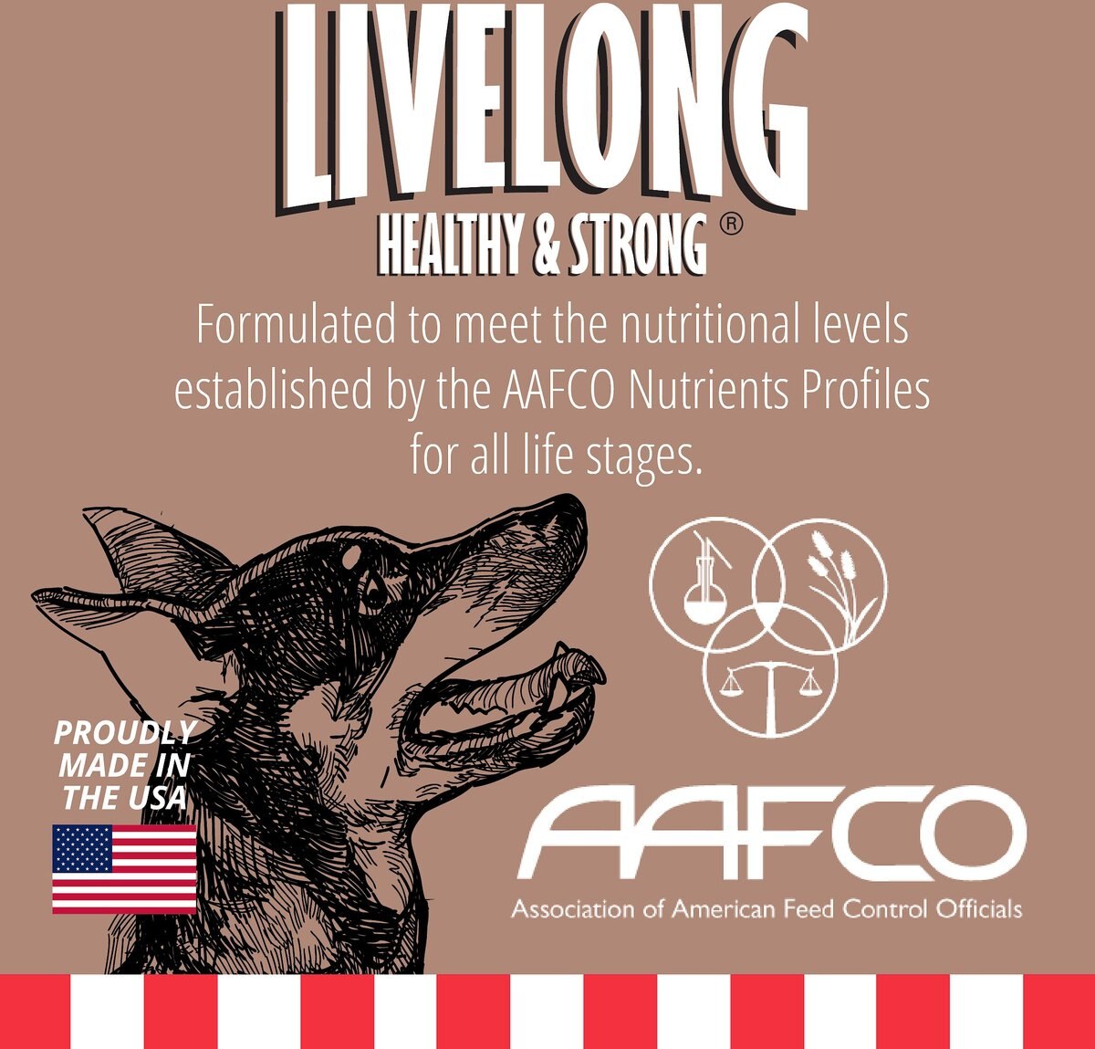 Livelong Healthy and Strong Pork and Sweet Potato Recipe Wet Dog Food， 12.5-oz can， case of 12