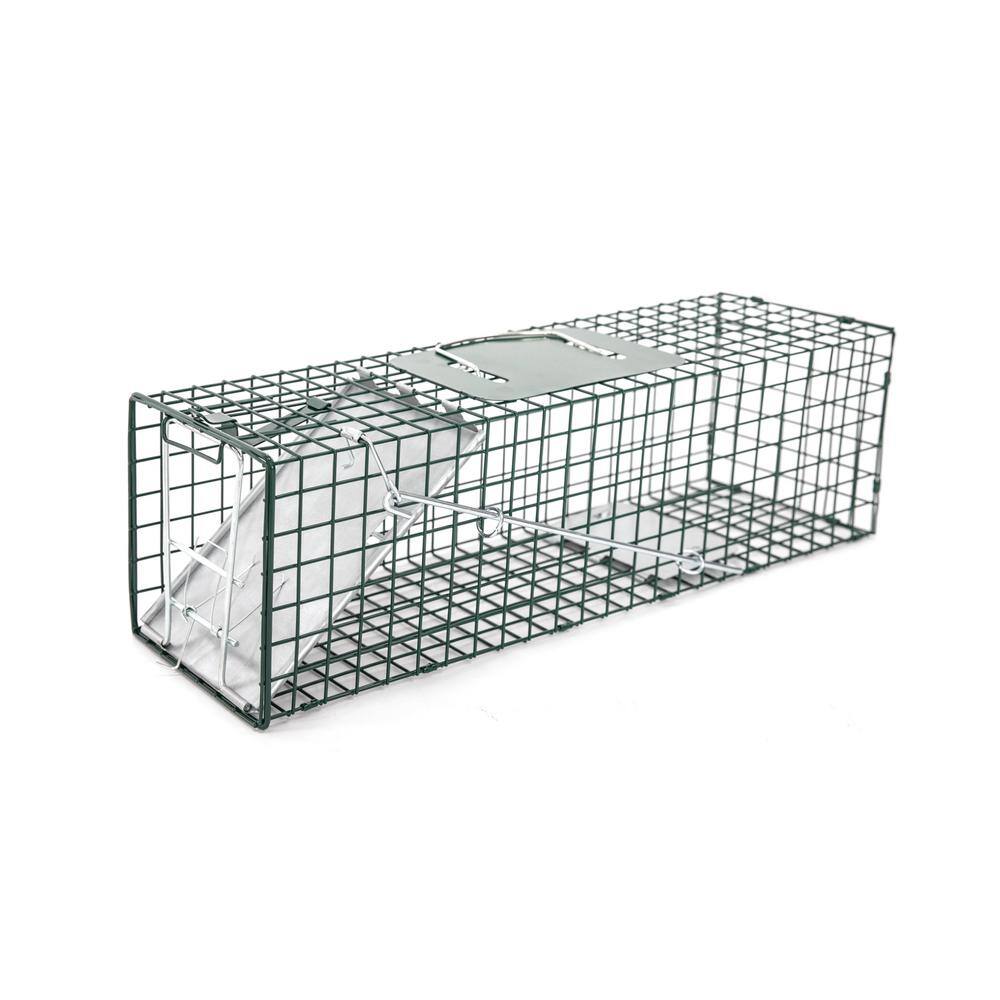 HOMESTEAD Small 1-Door Professional Humane Steel Live Animal Cage Trap for Squirrels Rabbits Chipmunks Skunks Rats and Weasels 410-344-0111
