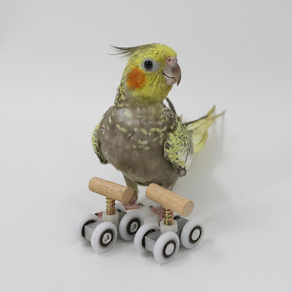 Small Parrots Trick Roller Skates Adjustable Pet Birds Playground Small