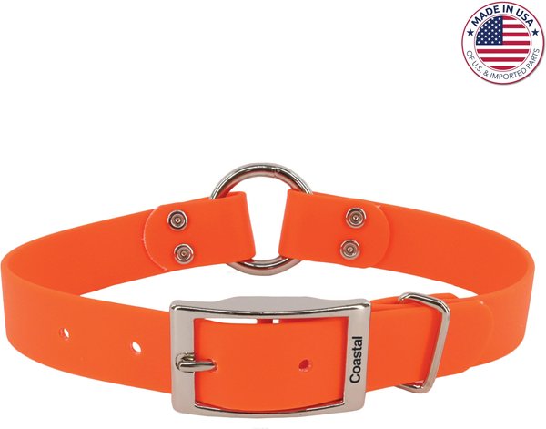 Water and Woods Waterproof Hound Dog Collar