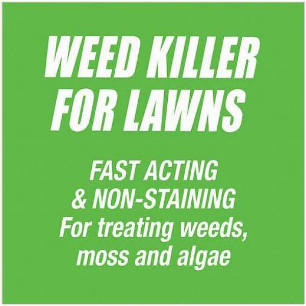 PULVERIZE Weed Killer for Lawns 32 oz. Ready-to-Use PW-U-032